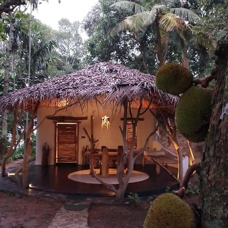 Ella Retreat Hotel Villa For Nature Lovers ภายนอก รูปภาพ