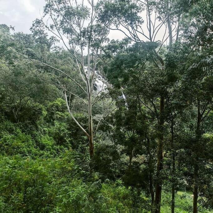 Ella Retreat Hotel Villa For Nature Lovers ภายนอก รูปภาพ